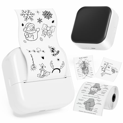 Phomemo M02X Mini Drucker Test