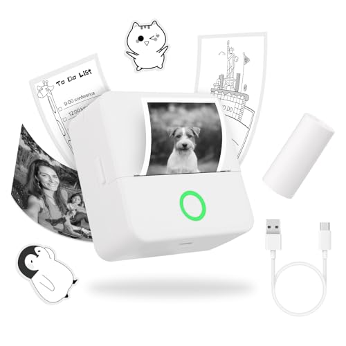 mafiti X6 tragbarer Fotodrucker Test